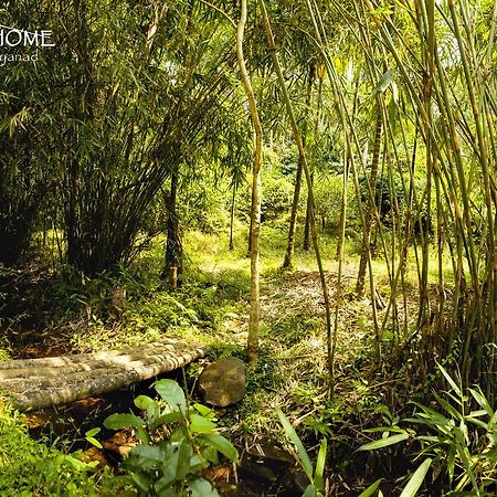Little Home Resort Vythiri Exterior photo