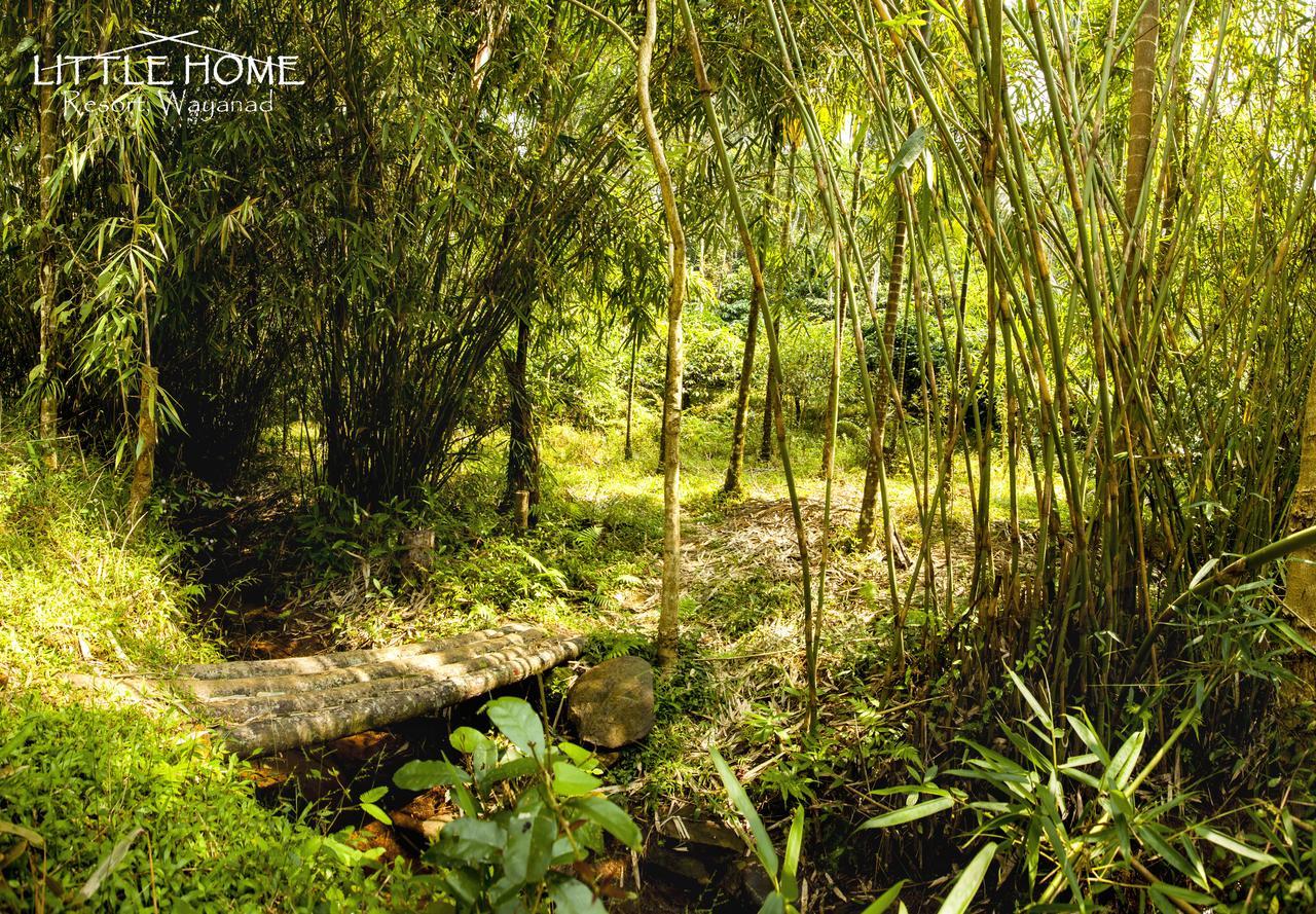 Little Home Resort Vythiri Exterior photo